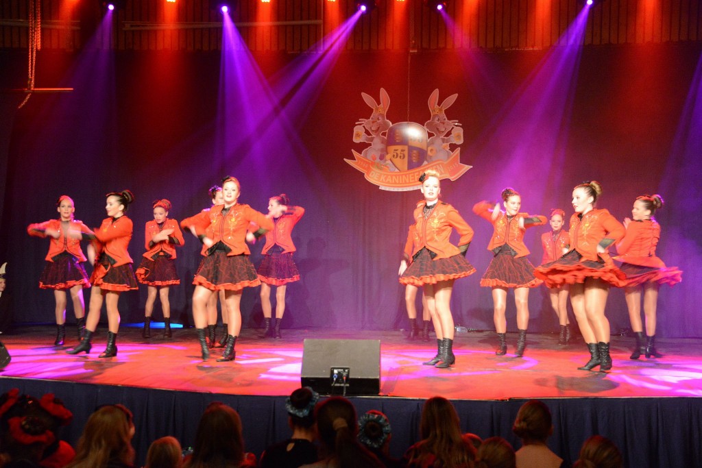 ../Images/Dansmarieke festival 2015 187.jpg